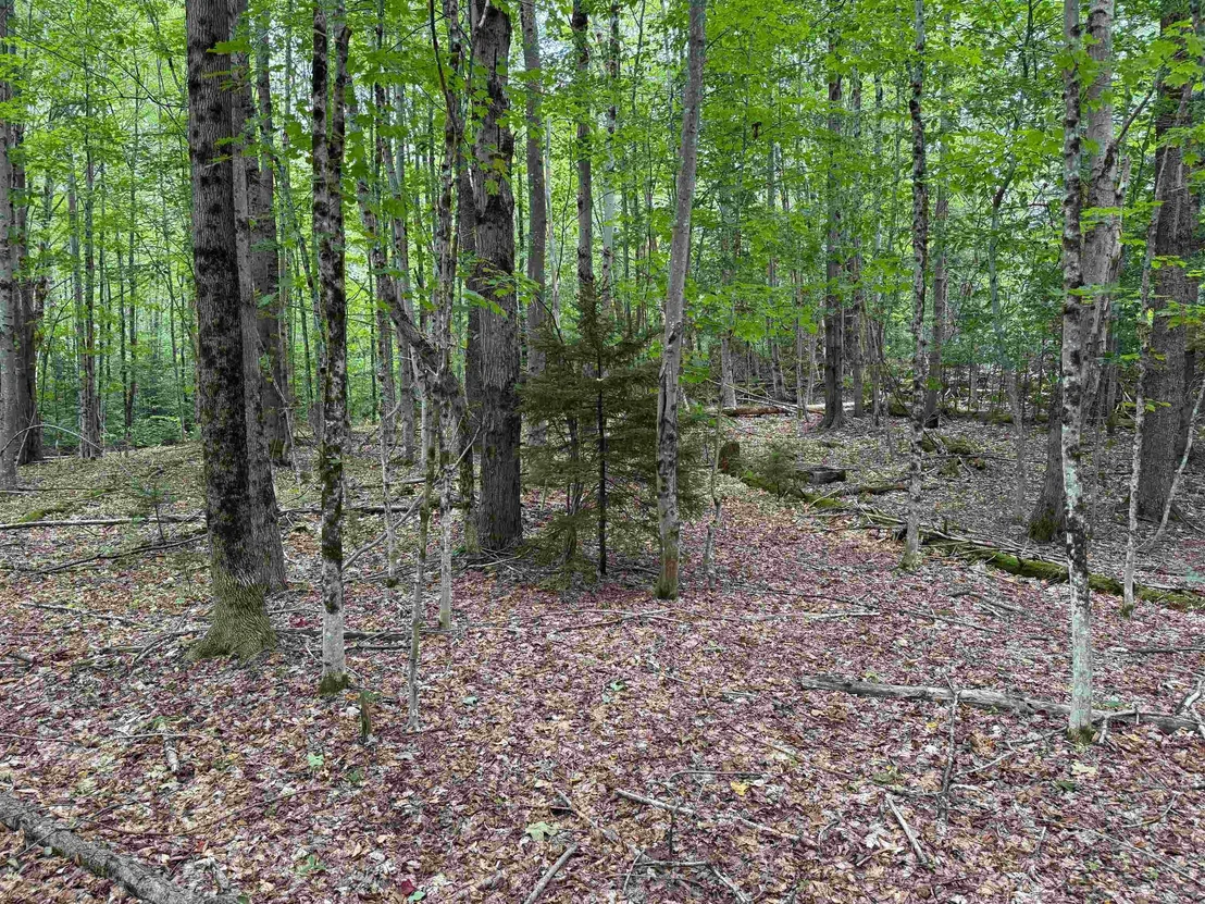 Photo of 00 Lake Hill
