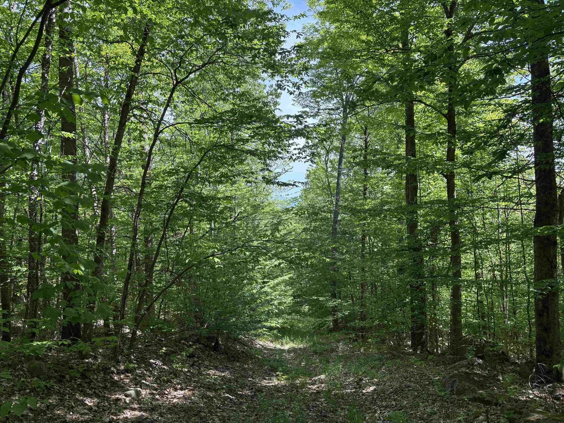 Photo of 0 Old Pond Hill