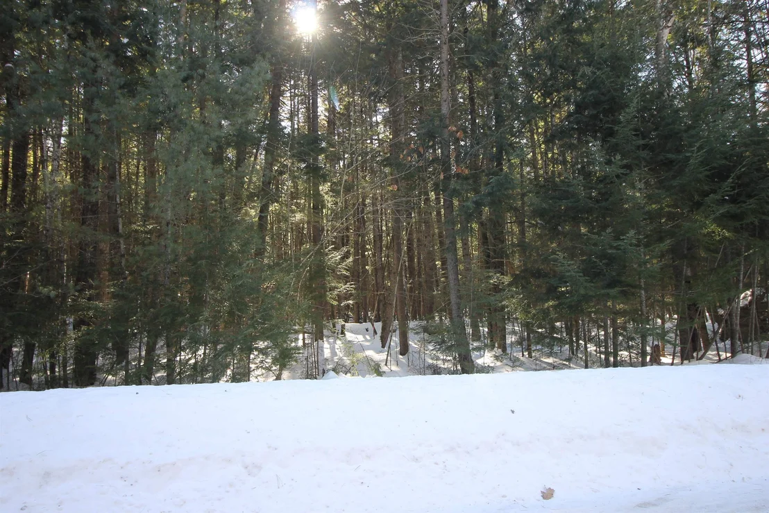 Photo of 00 Covered Bridge
