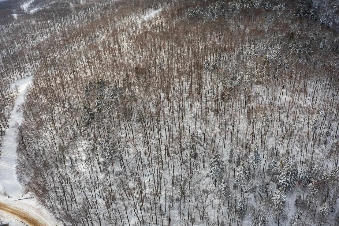 Photo of 0 Mountain