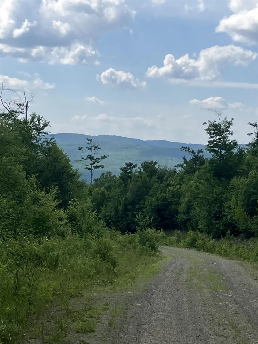 Photo of Lot 2&3 Washburn/Meridan Hill