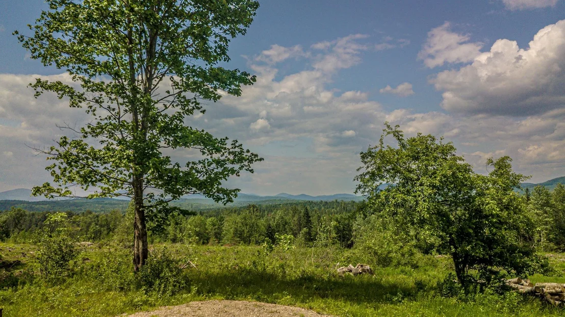 Photo of 53 Pleasant Valley