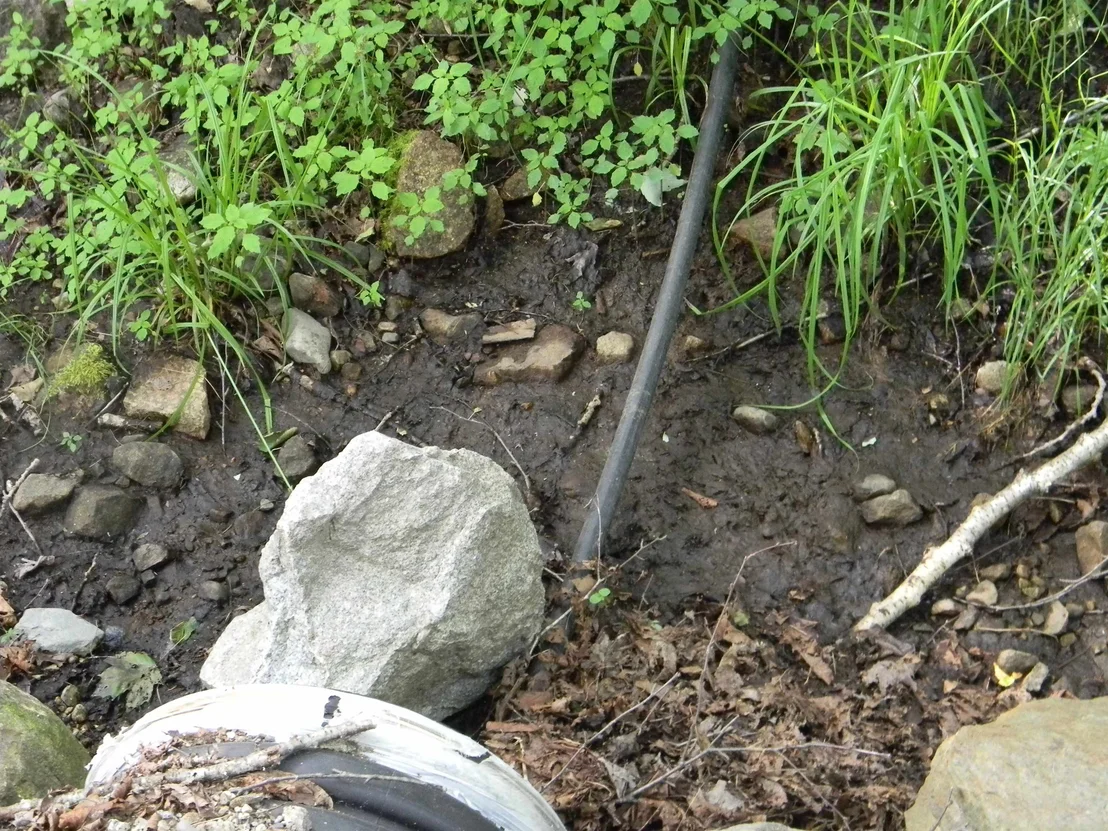 Photo of 24 Nash Stream