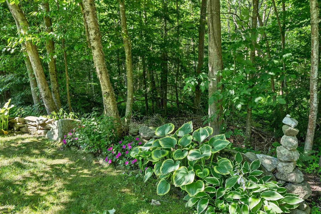 Photo of 41 Lantern