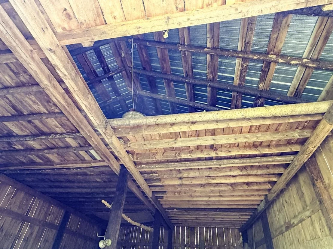 Photo of 297 Robinson