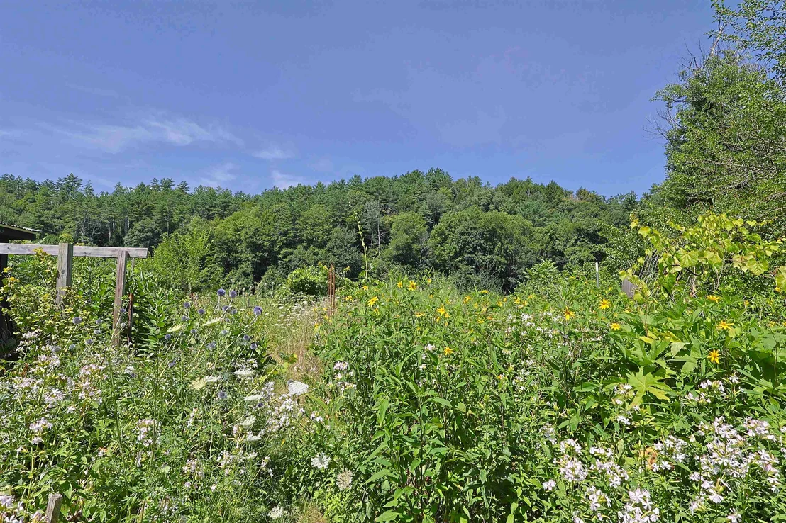 Photo of 669 US Route 5
