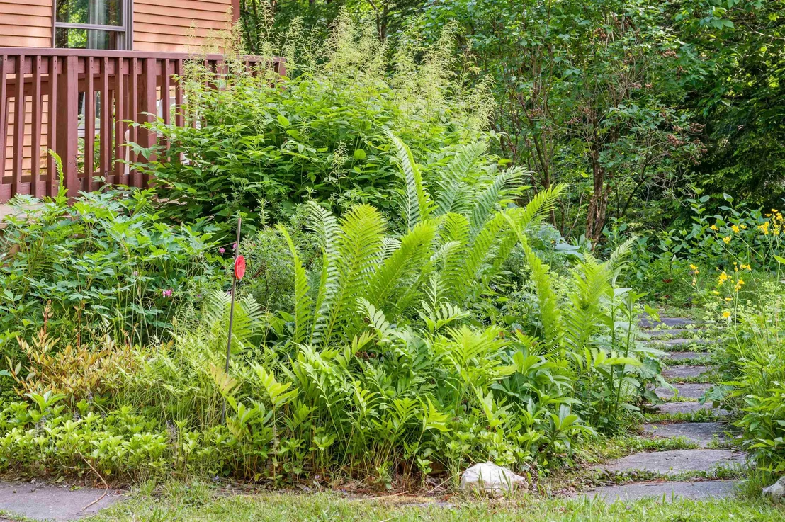 Photo of 254 Macey