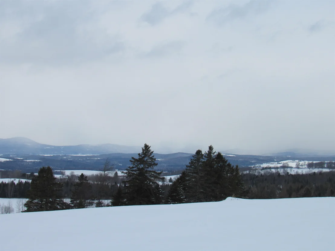 Photo of 2103 Herrick