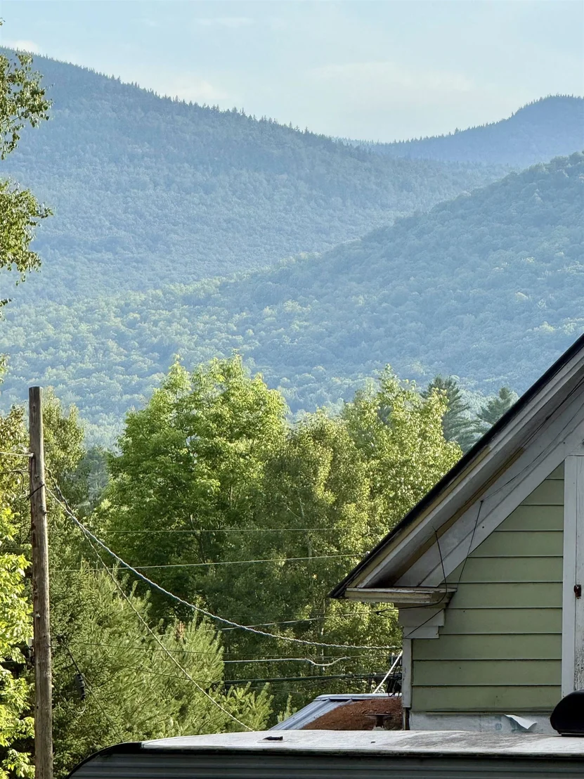 Photo of 7 Pine