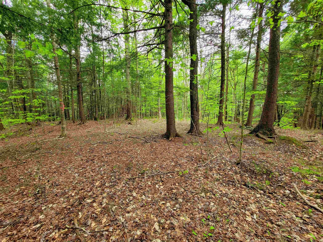Photo of 167 High Meadow