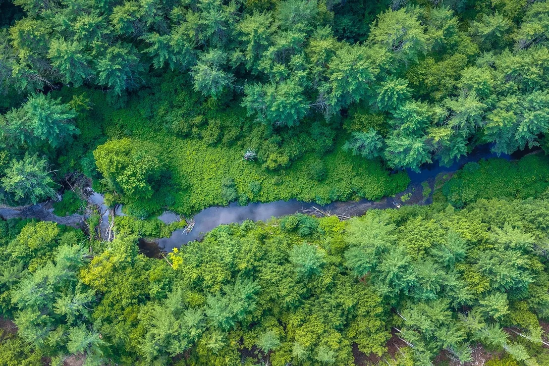 Photo of 40 E Putney Brook