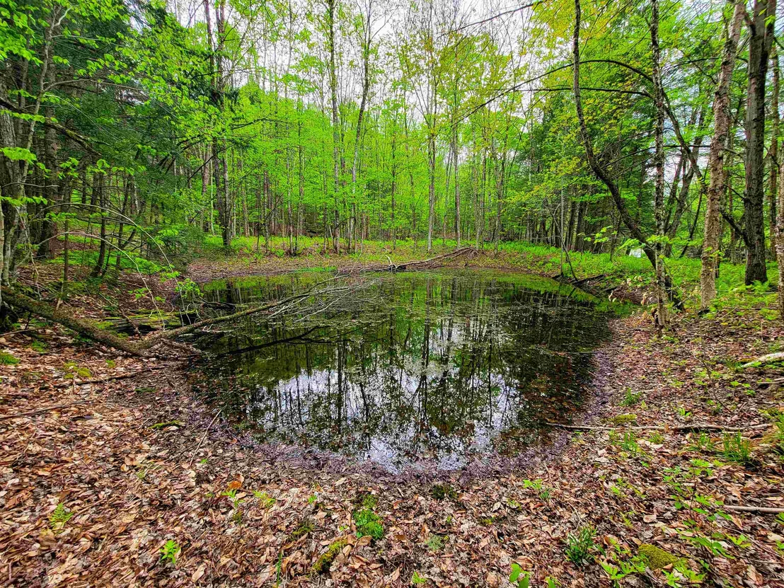 Photo of 167 High Meadow