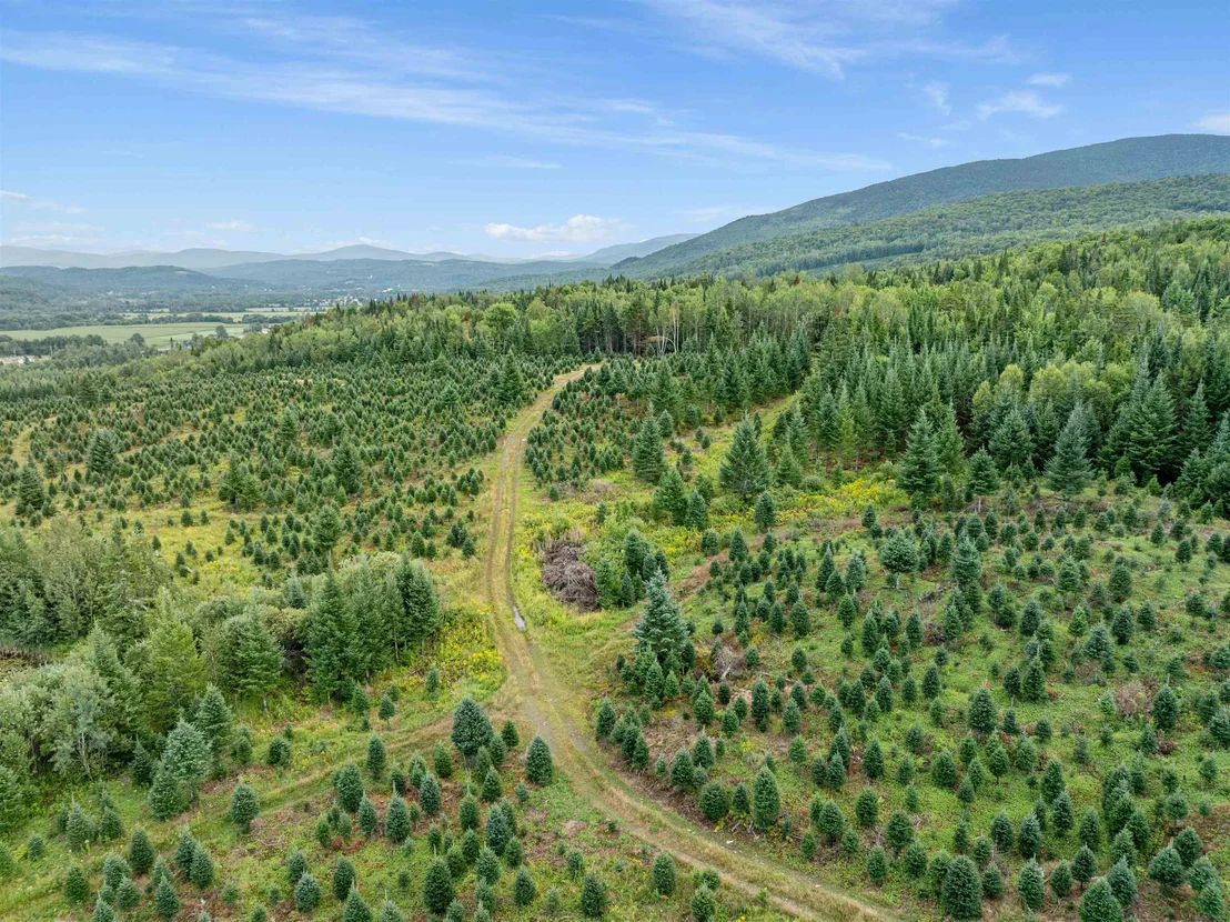 Photo of - Capon Brook