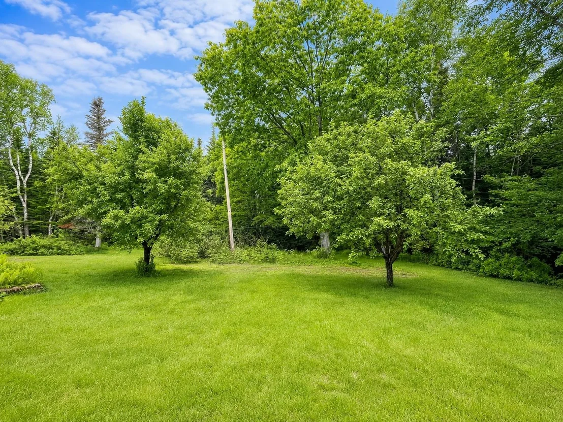 Photo of 204 Chickwolnepy