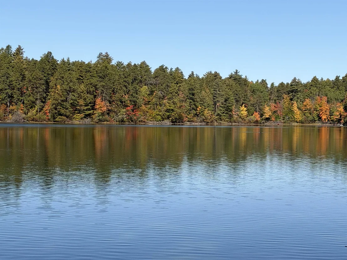 Photo of 40 White Pond