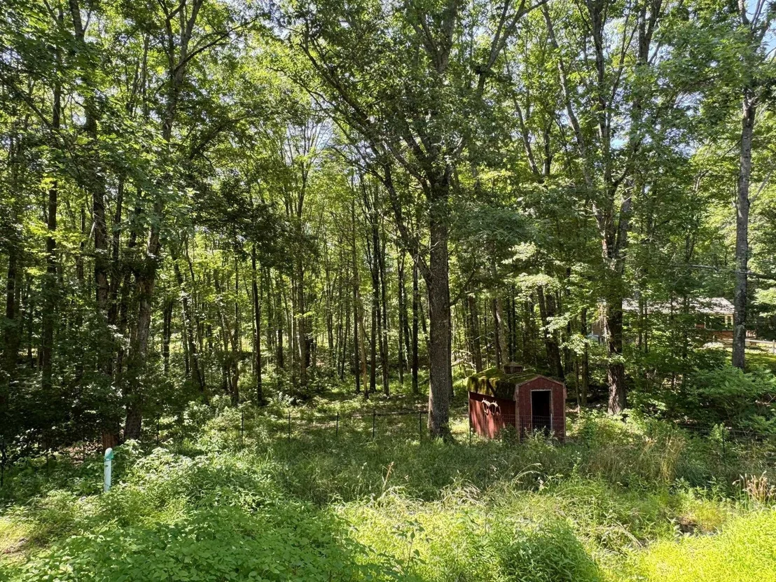Photo of 6 Saddlepath