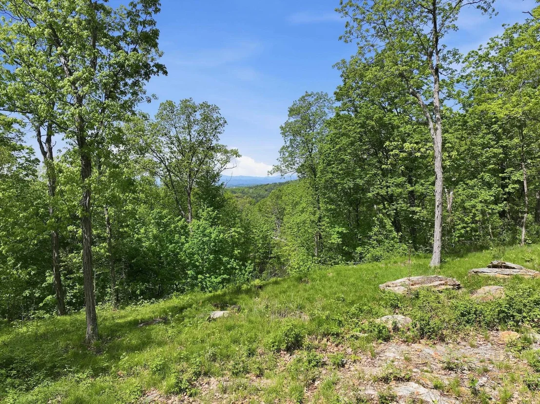 Photo of 189 Shagbark