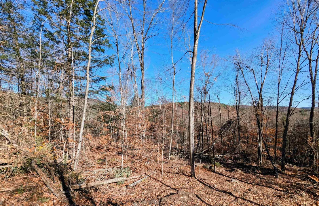 Photo of Unit LOT4 at 0 Dover
