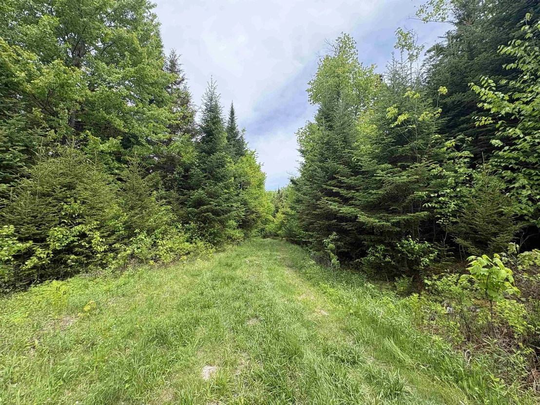 Photo of 0 Old Pond Hill