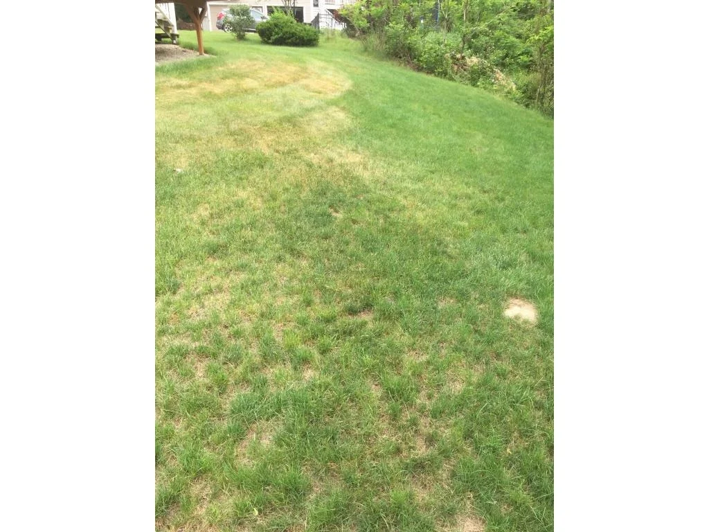 Photo of 23 Bear Path