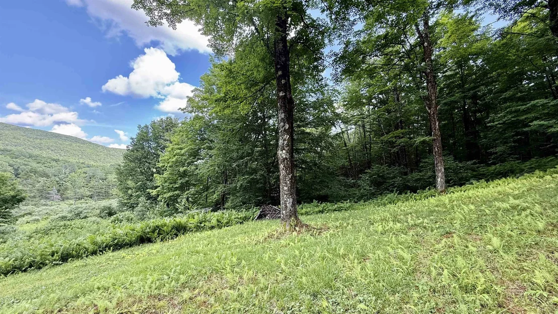 Photo of 2075 Codding Hollow