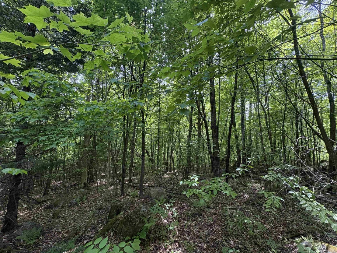 Photo of 0 Old Pond Hill