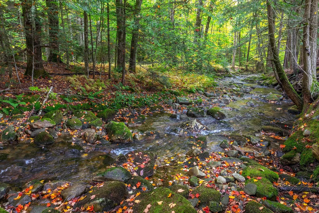 Photo of 628 Moss Brook