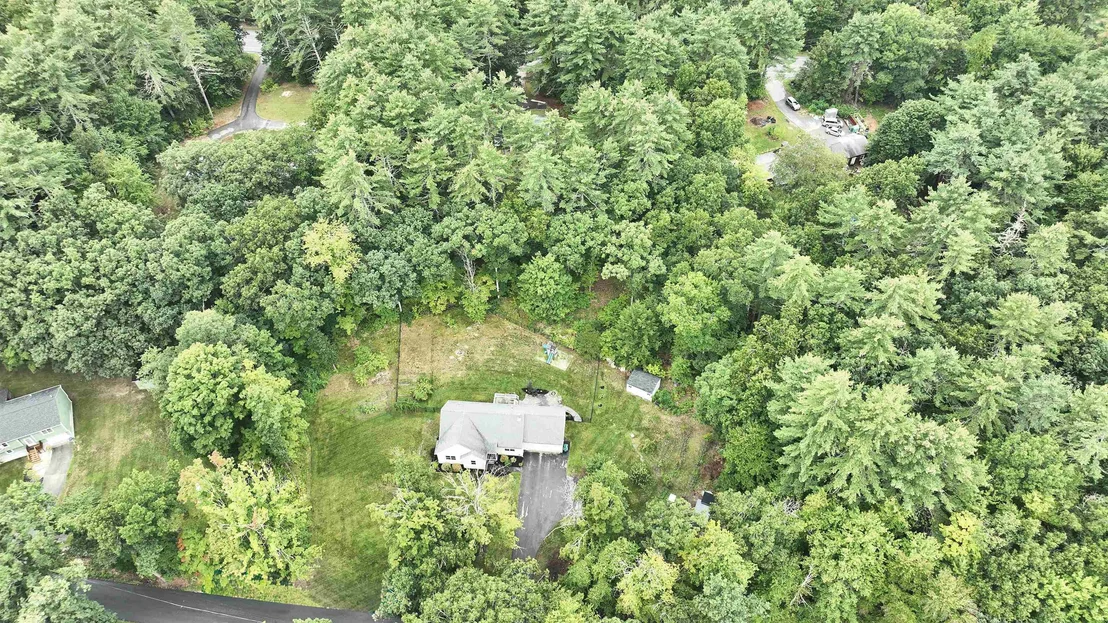Photo of 12 Springvale