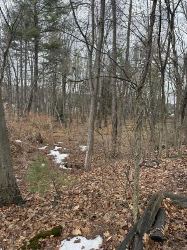 Photo of 2 Shore