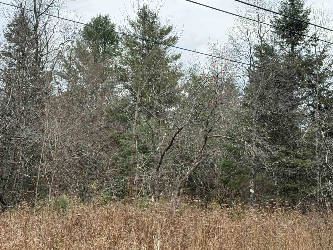 Photo of 00 Wheelock