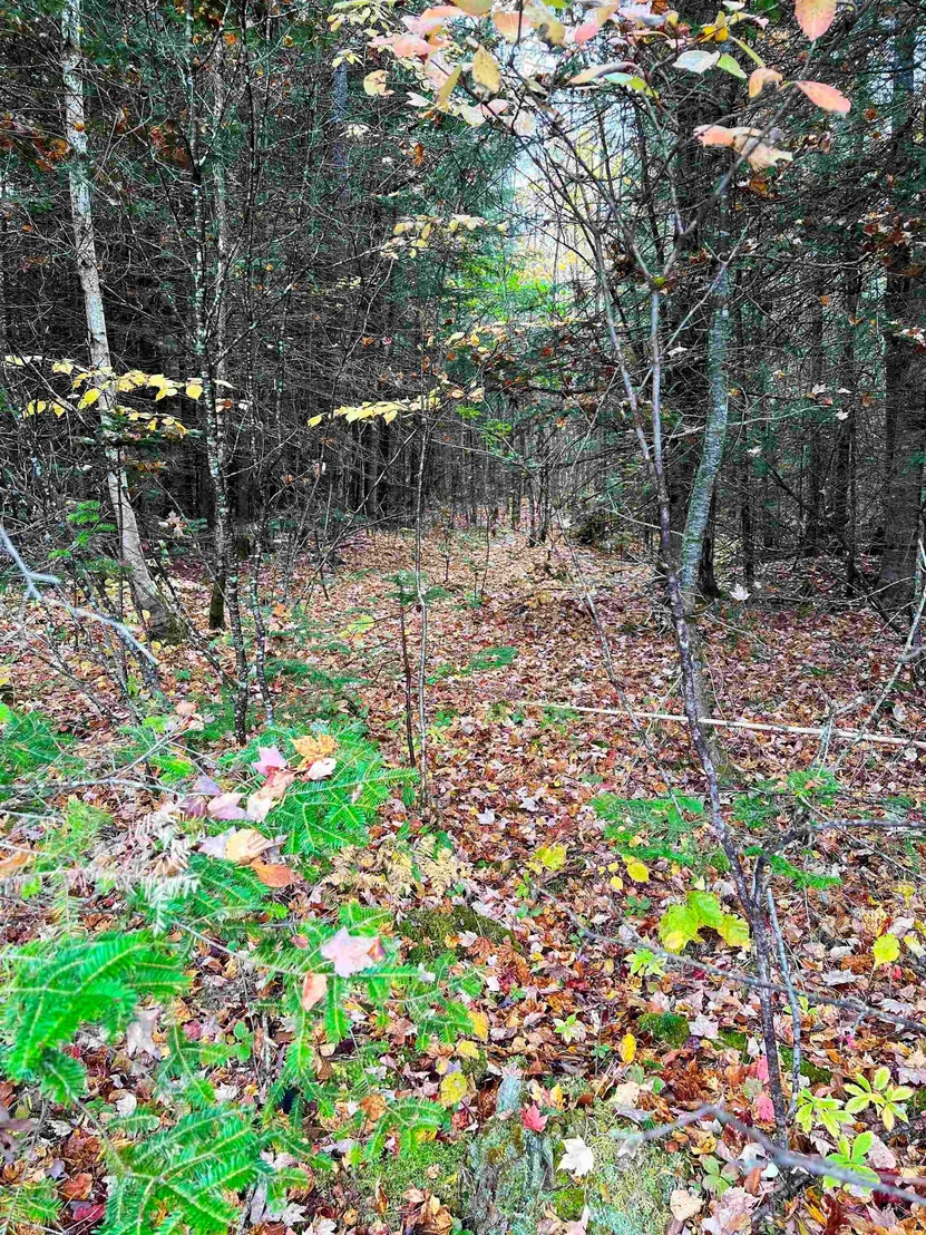 Photo of 408-105 Evergreen