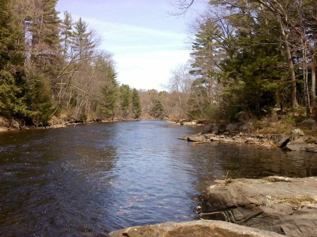 Photo of 67 Danis Park