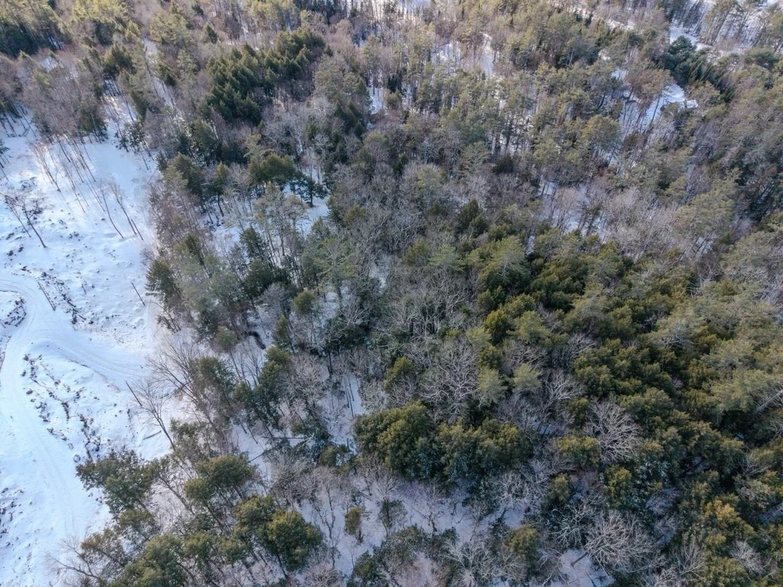 Photo of Unit 19 at 00 Wetherbee