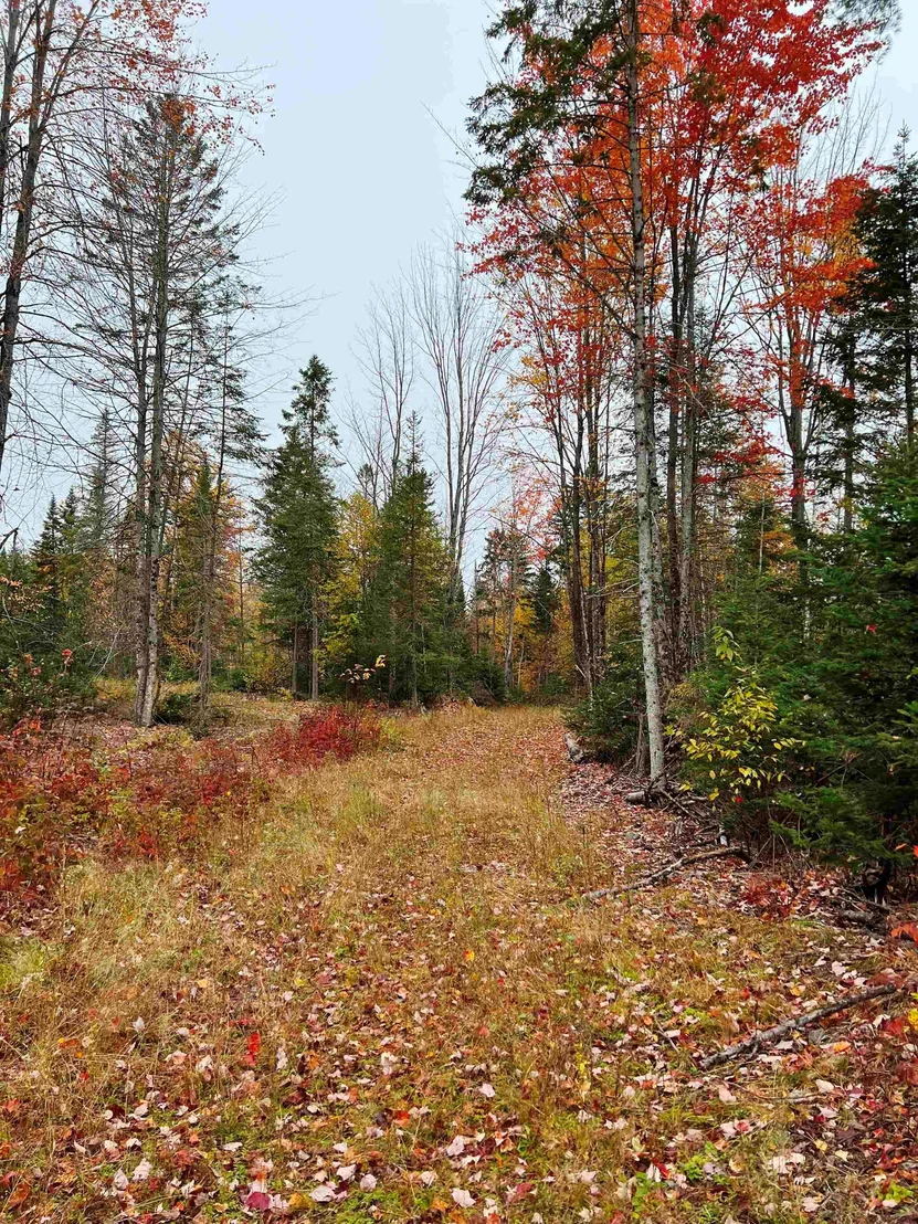 Photo of 408-105 Evergreen