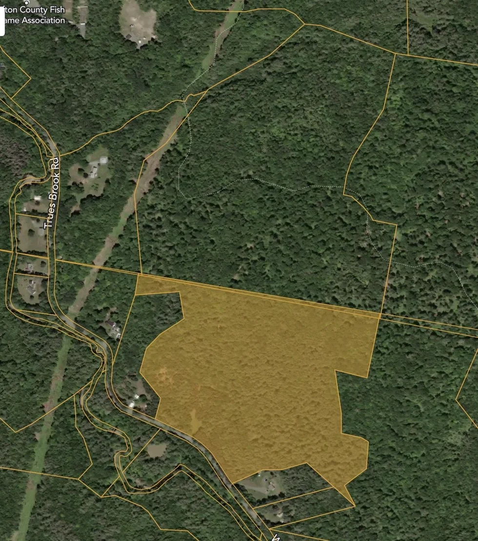 Photo of 00 Willow Brook