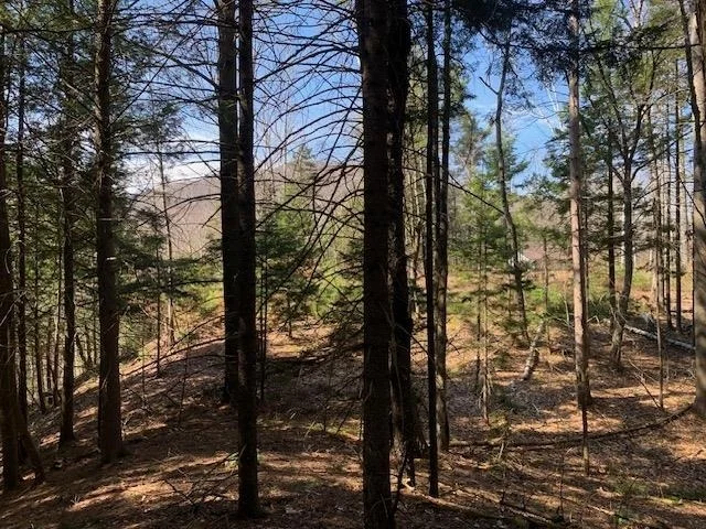 Photo of TBD VT Rt 100
