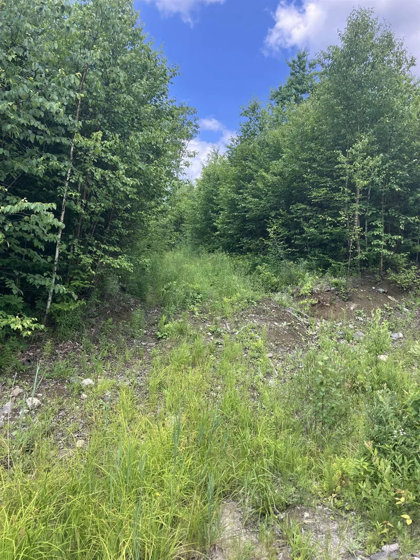 Photo of Lot 2&3 Washburn/Meridan Hill