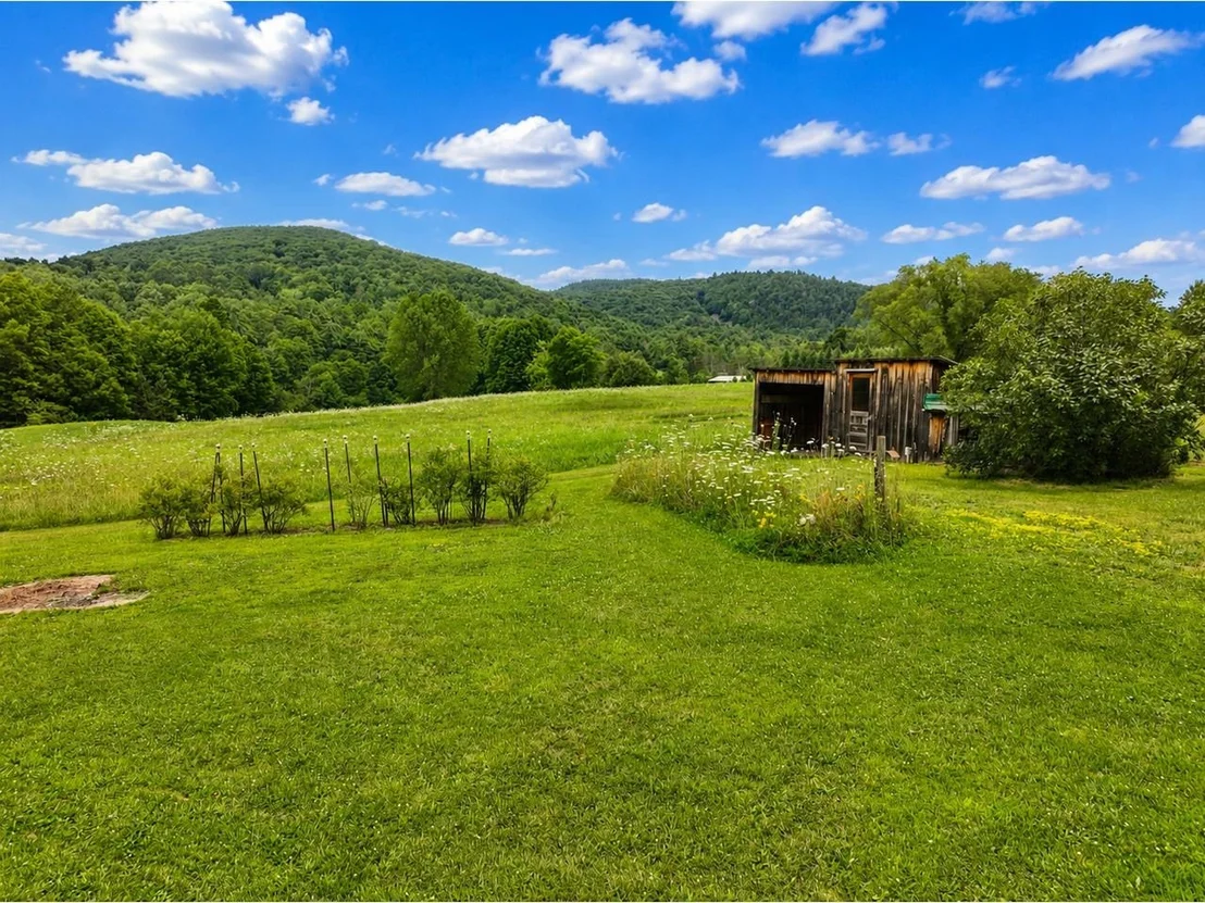 Photo of 150 Piney Woods