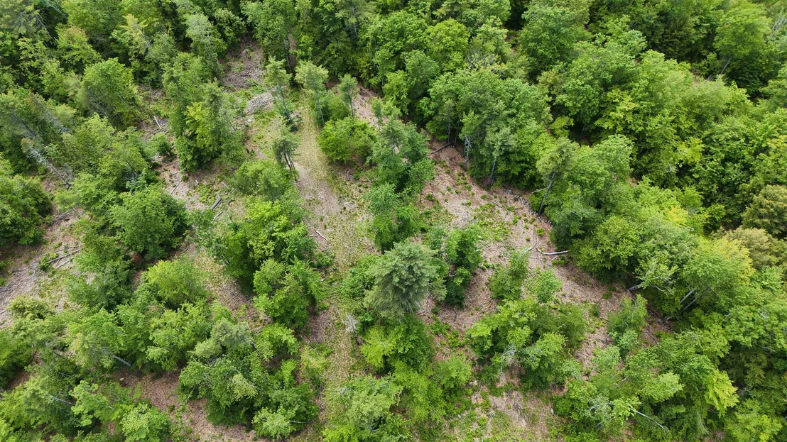 Photo of 160 Browns Ridge