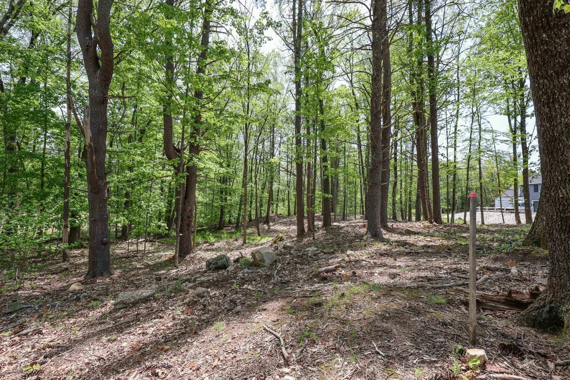 Photo of Unit MAP14LOT449 at 44-9 Olympus