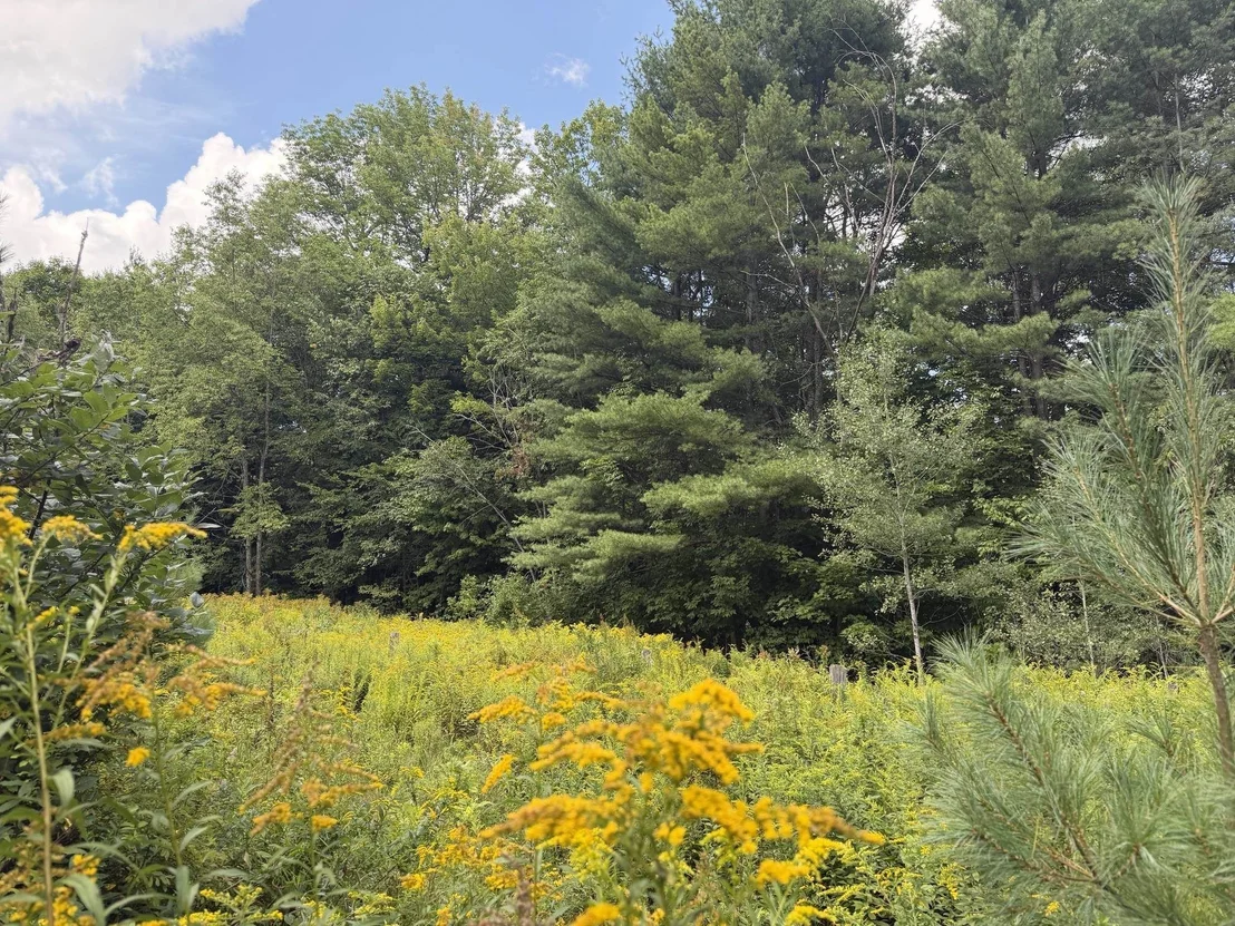 Photo of 0 Route 242
