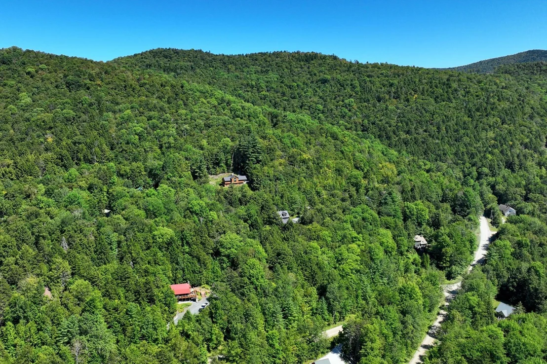 Photo of Lot 49 Spring