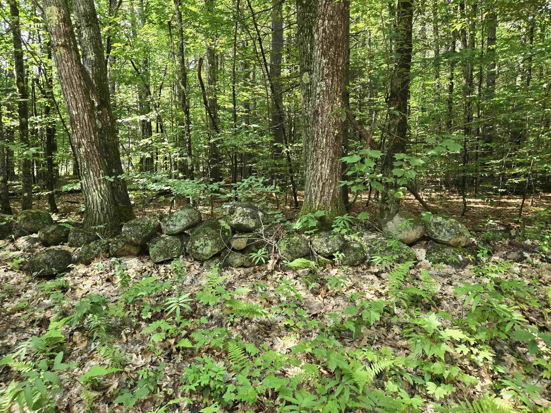 Photo of Lot 26 Davis Hill