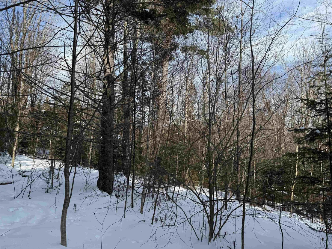 Photo of Unit 12 at 19 Stone Ridge