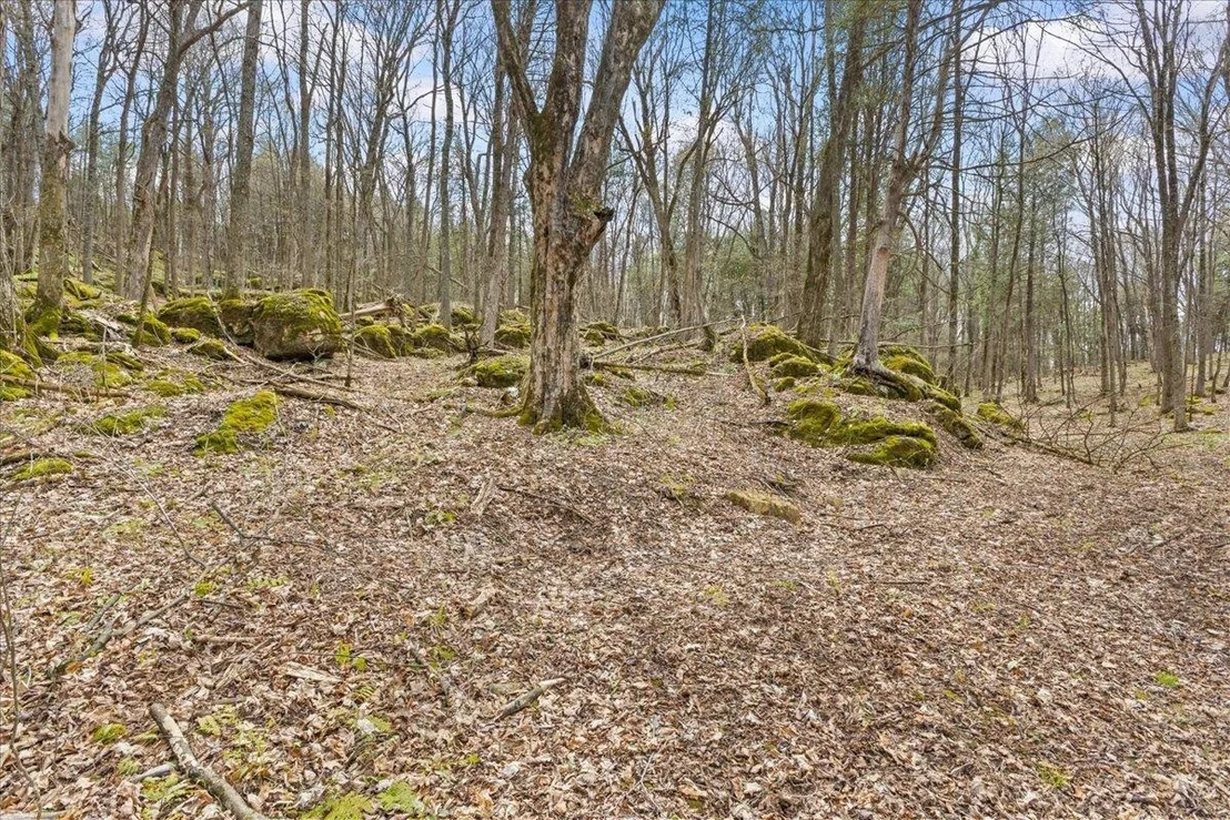 Photo of Unit LOT1 at 0 Bullock