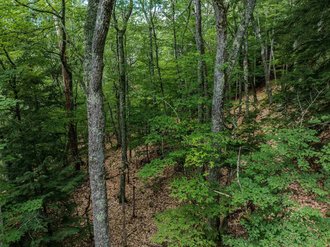 Photo of 105 Beaver Pond