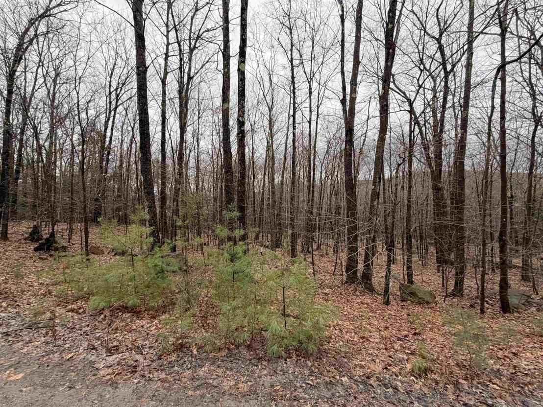 Photo of 0 Old Walpole/Valley View