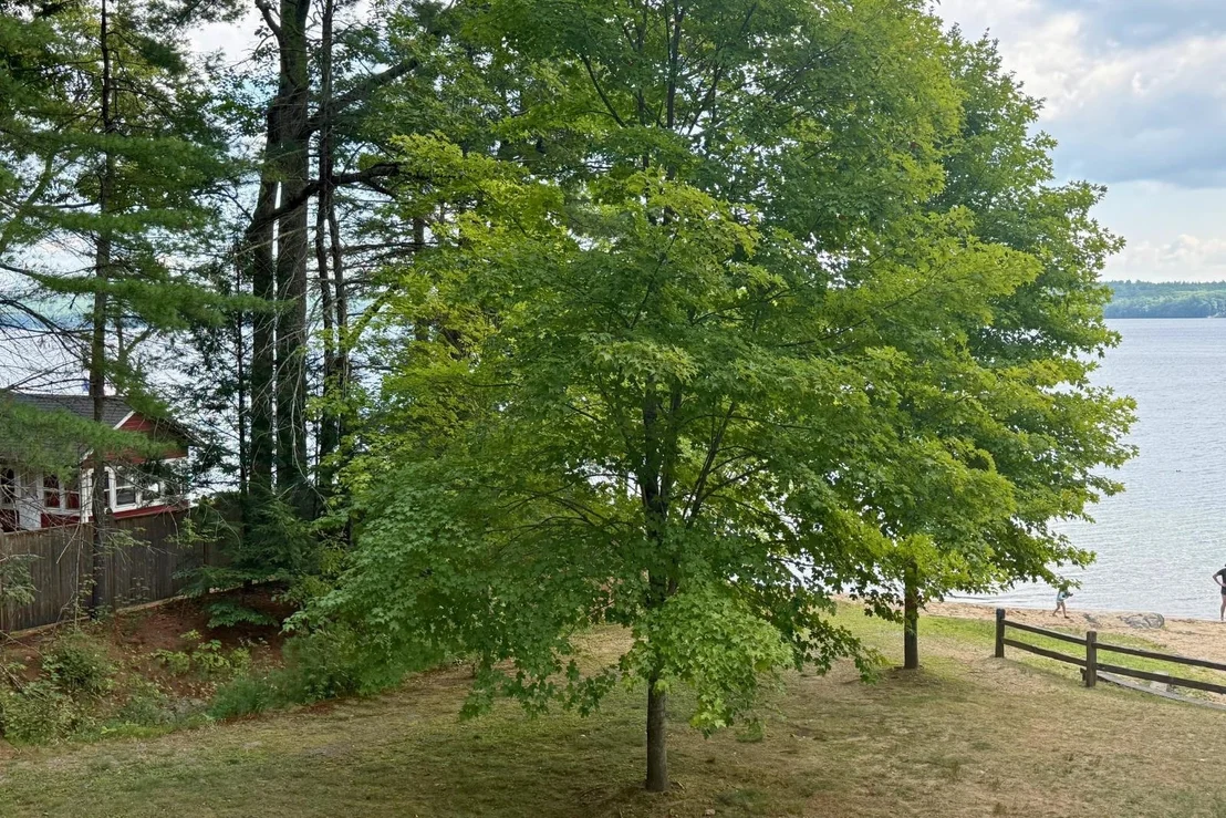 Photo of Lot 9-3 Roxbury