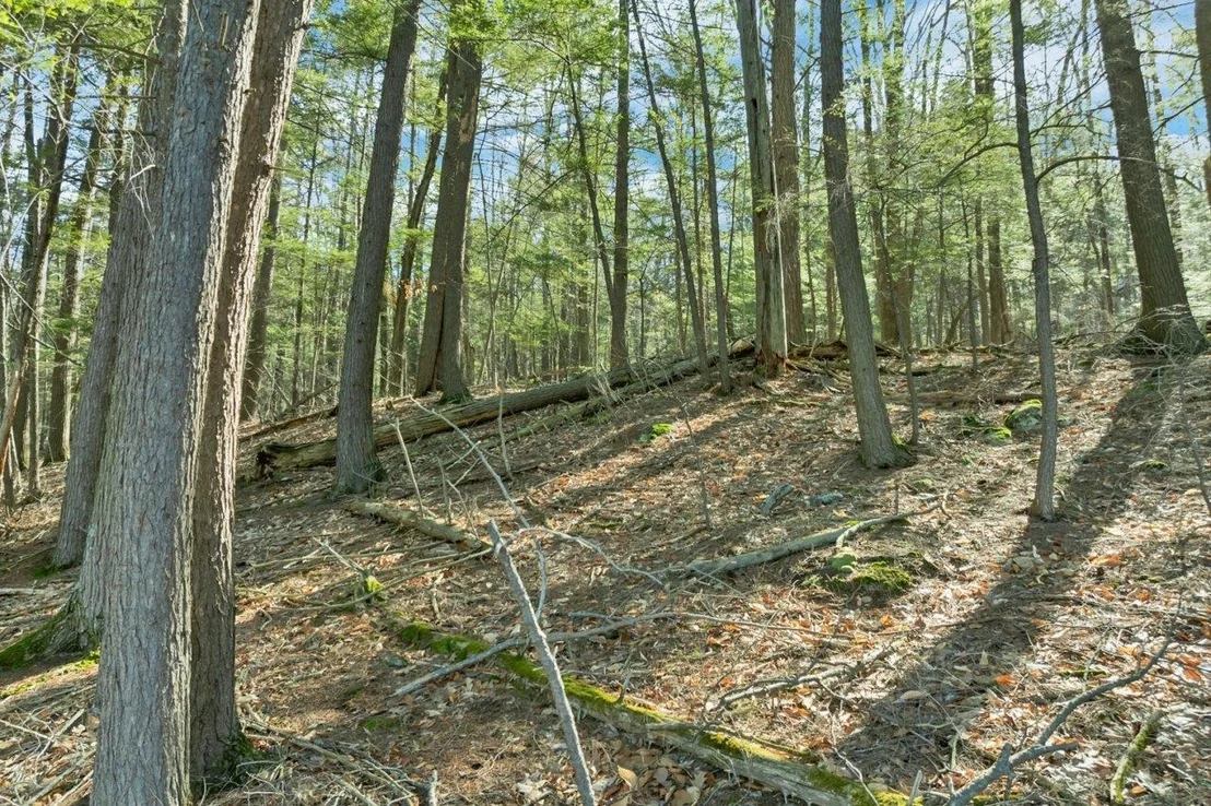 Photo of 0 Pinnacle Park