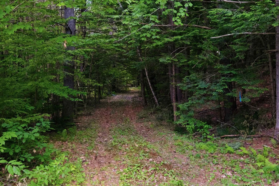 Photo of Unit MAP16LOT64 at 00 NH Route 103 West